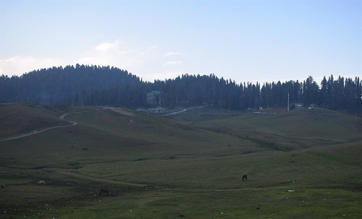 Green meadows of Gulmarg
