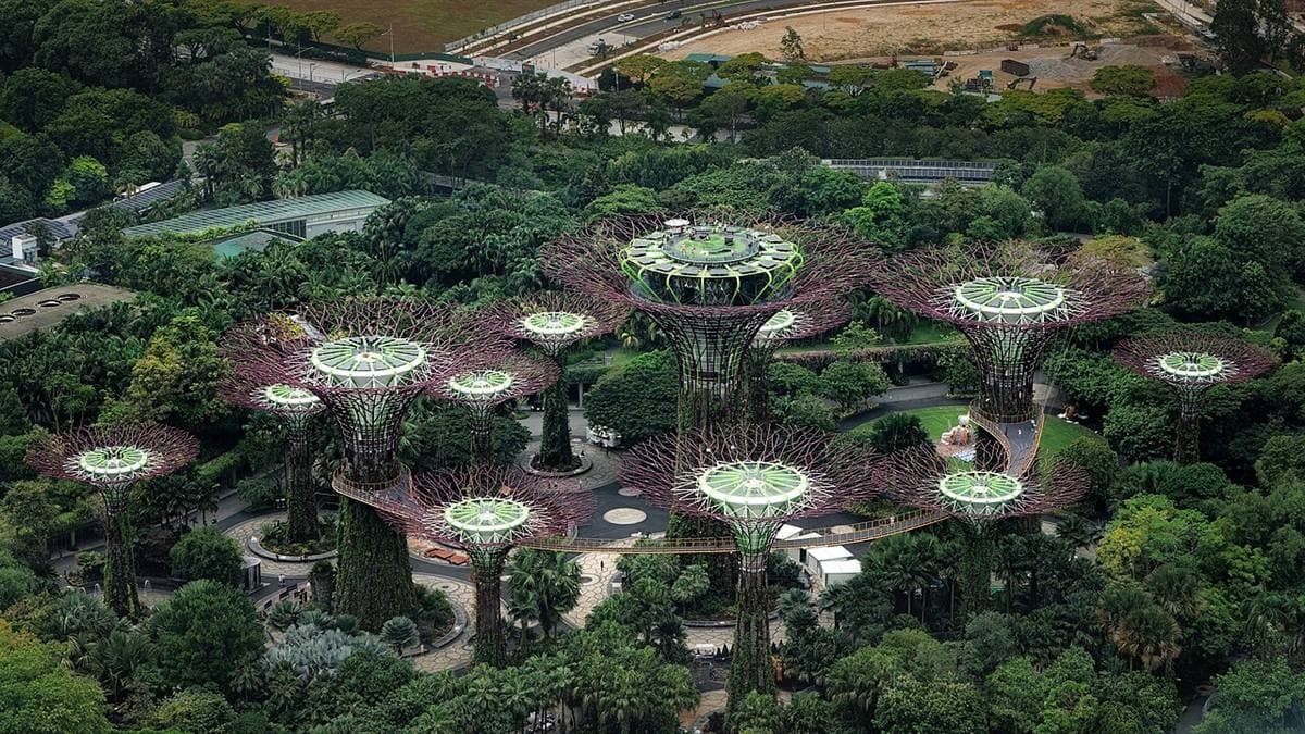 Supertree Grove, Gardens by the Bay
